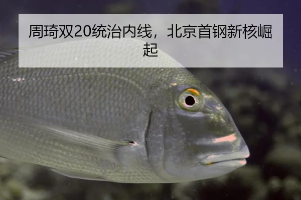 周琦双20统治内线，北京首钢新核崛起