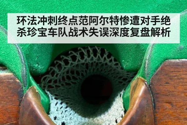 环法冲刺终点范阿尔特惨遭对手绝杀珍宝车队战术失误深度复盘解析