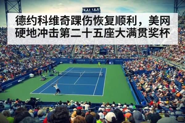 德约科维奇踝伤恢复顺利,美网硬地冲击第二十五座大满贯奖杯